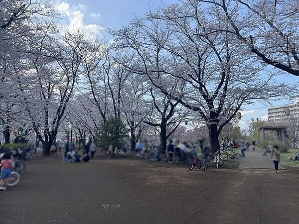 福岡中央公園 10m