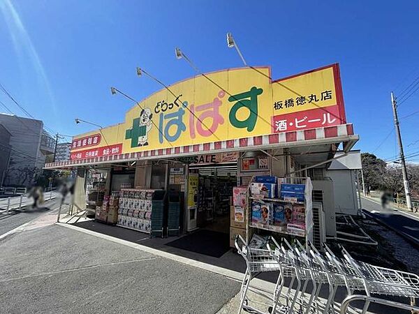 どらっぐぱぱす 板橋徳丸店 550m