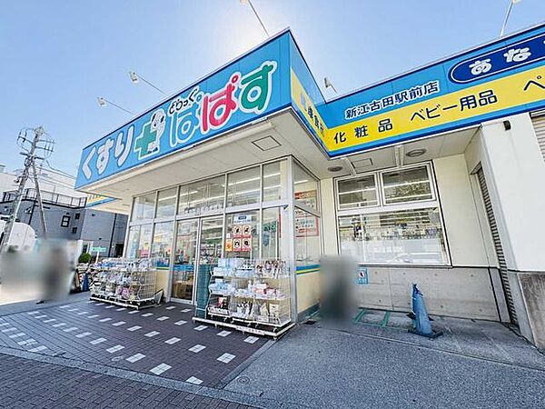 どらっぐぱぱす新江古田駅前店 670m