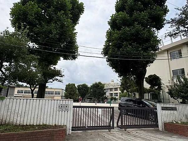 仲町小学校 300m