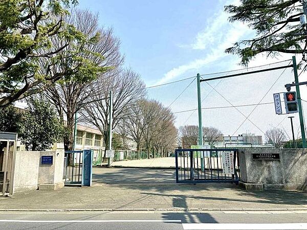 東京学芸大学附属国際中等教育学校 700m