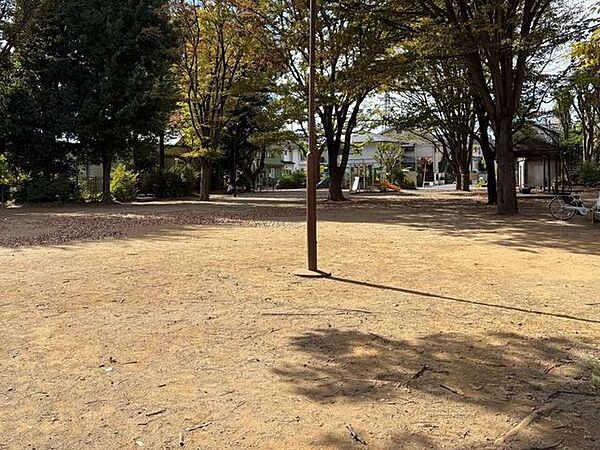 西口中央公園 500m