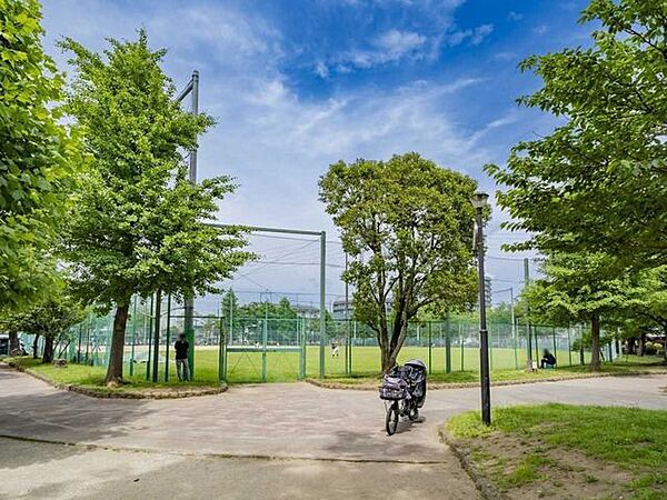 谷中公園 600m