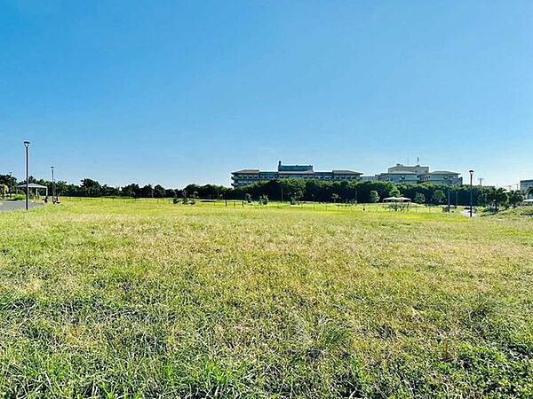 高洲海浜公園 100m