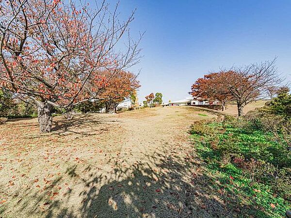 なぎさ公園 30m