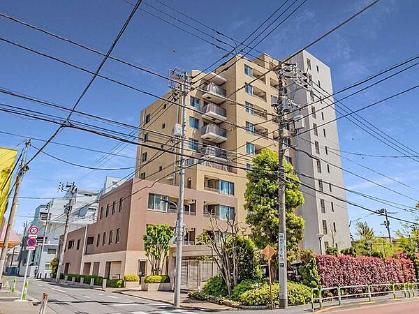 外観：313004538220