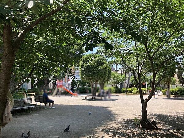 浦和中央公園 210m