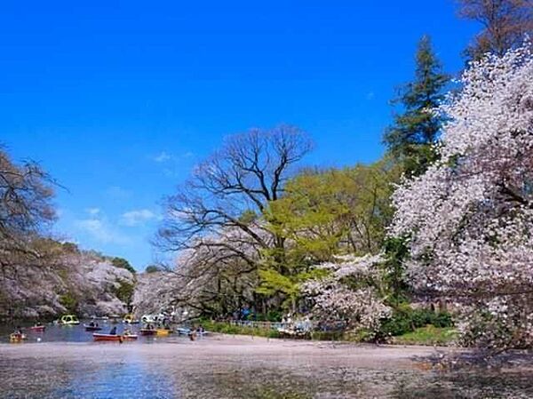 井の頭恩賜公園 900m