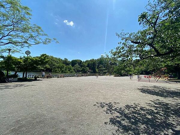善福寺公園 750m