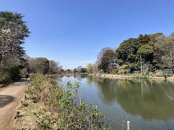 善福寺公園 750m