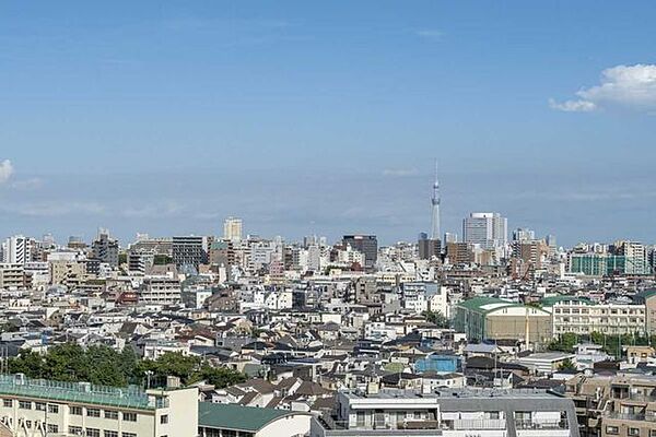 バルコニーからの眺望：南東側(ズーム撮影)