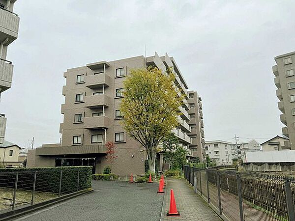 外観：311002499373