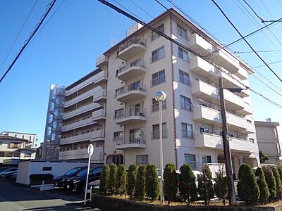 外観 外観