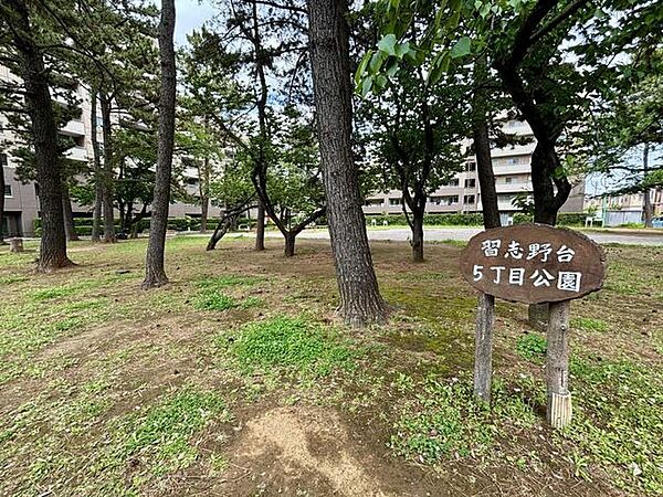 習志野台5丁目公園 50m