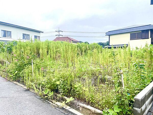 2026年8月30日撮影