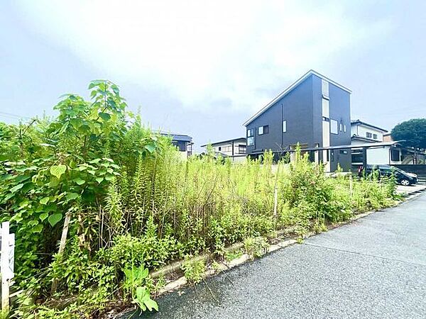 2026年8月30日撮影