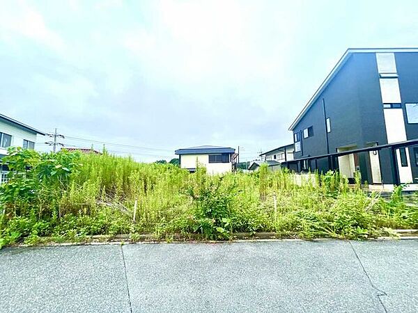 2026年8月30日撮影