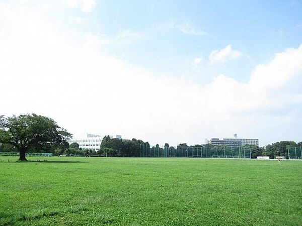 武蔵野中央公園 1500m
