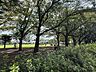 周辺：美ノ宮公園 400m