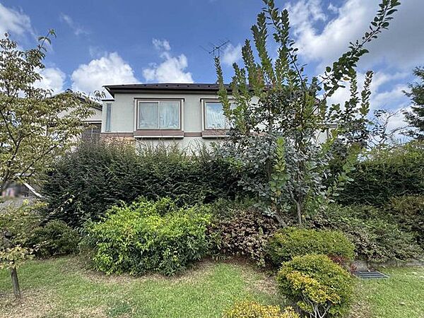 外観：313004453302