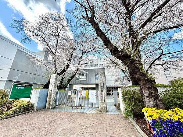 小金井市立第一小学校 500m
