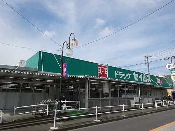 ドラッグセイムス小平東店 500m