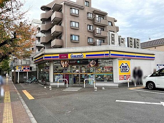 ミニストップ国...