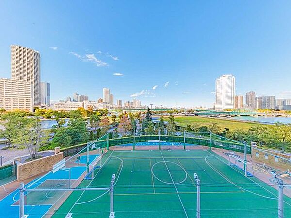 ズーム無し/お天気の良い日は東京スカイツリーを臨む