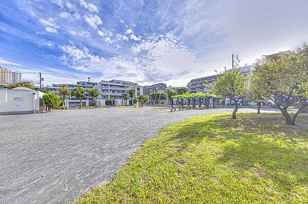 岡野公園 50m