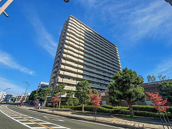 外観：314002526589