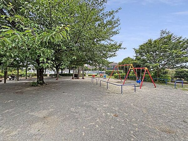 緑川西公園 100m
