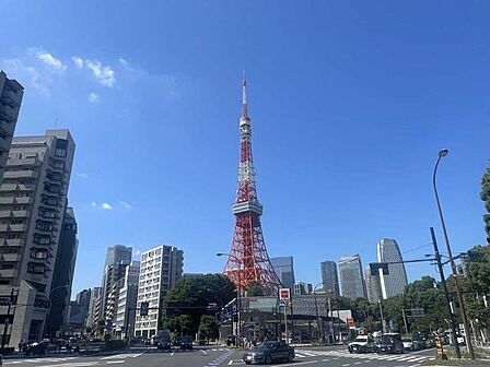 東京タワー 550m