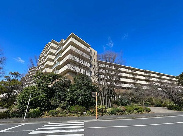 外観：314002679181