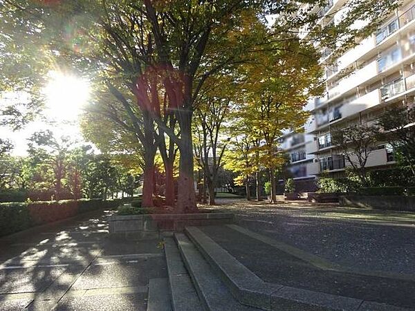提供公園