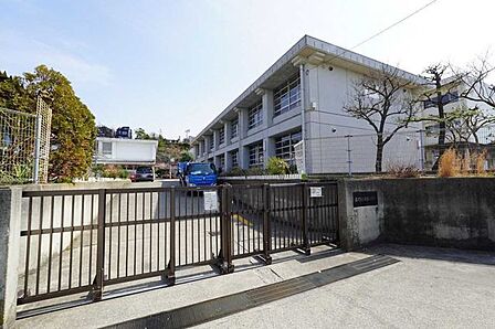  藤沢市立片瀬小学校 1500m