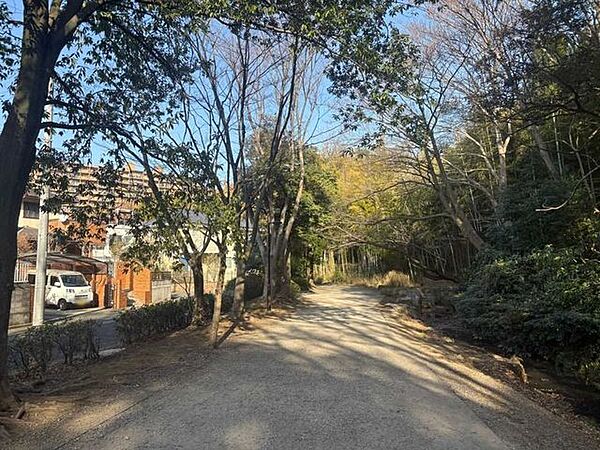 緑道 800m