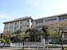 周辺： 市立鷺沼小学校 420m