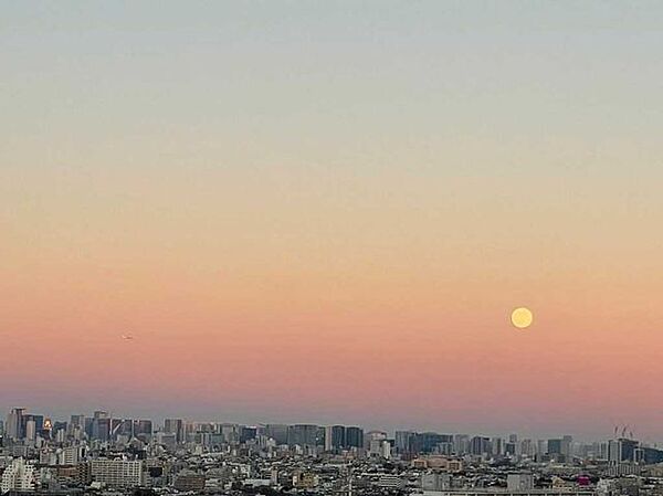 ズームなし