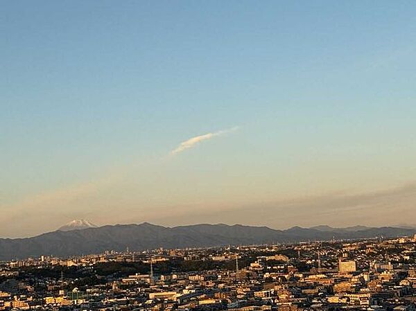 ズームなし