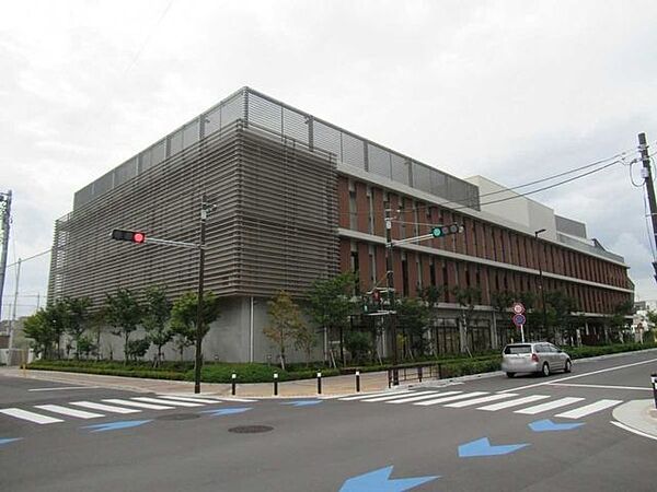 川崎市立小杉小学校 430m