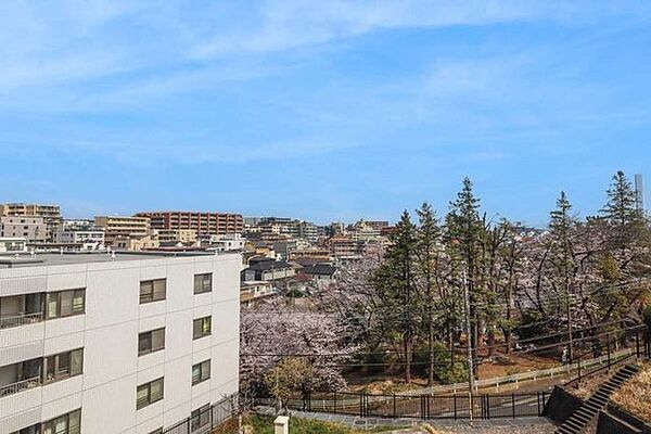 春には、梶ケ谷第一公園の桜が望めます。（天候による）