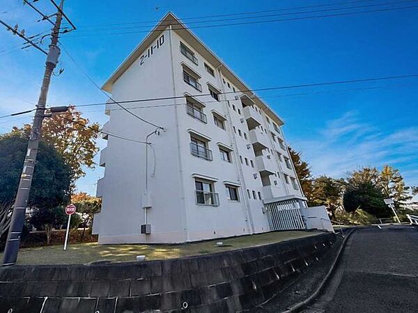 外観：313004508013