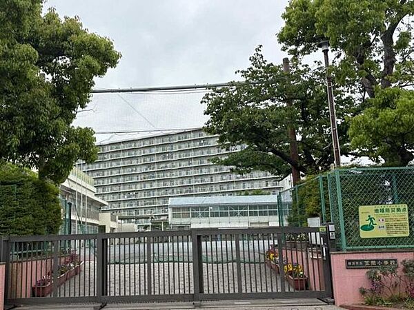 横浜市立笠間小学校 350m