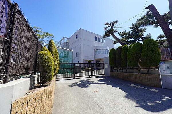 茅ヶ崎市立松浪小学校 550m