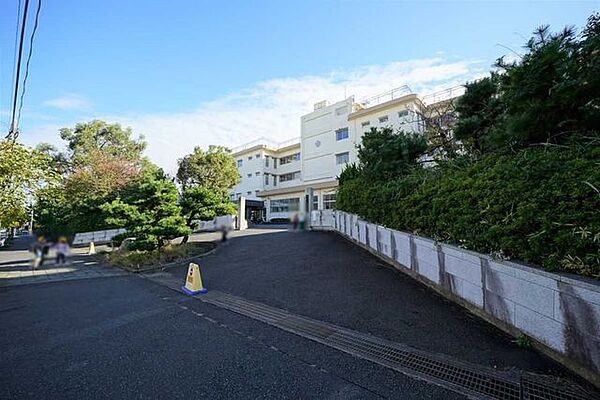 平塚市立花水小学校 380m