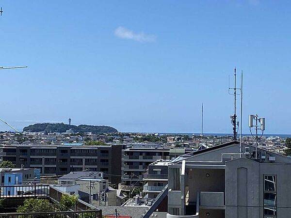 ズーム有り
