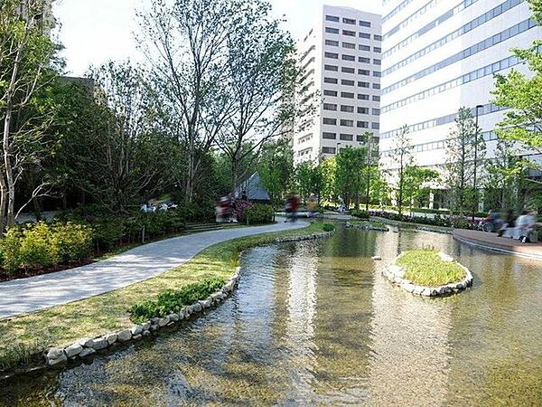 庭園 10m