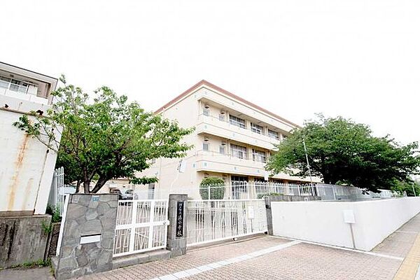 神戸市立湊小学校 700m