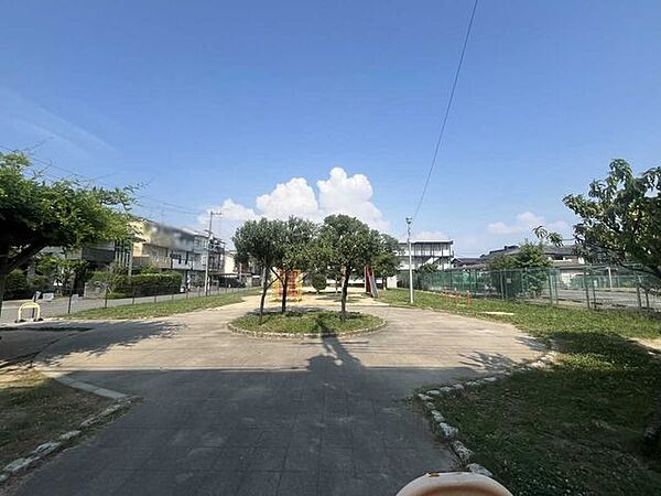 桃園公園 50m