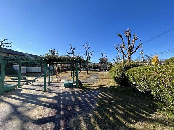 タヌキ公園 20m